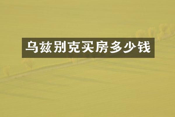 乌兹别克买房多少钱