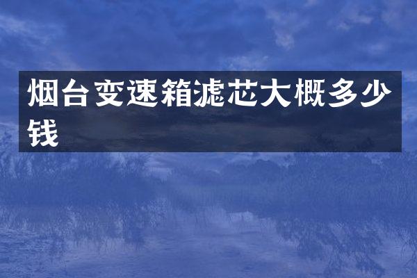 烟台变速箱滤芯大概多少钱