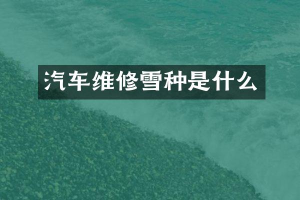 汽车维修雪种是什么