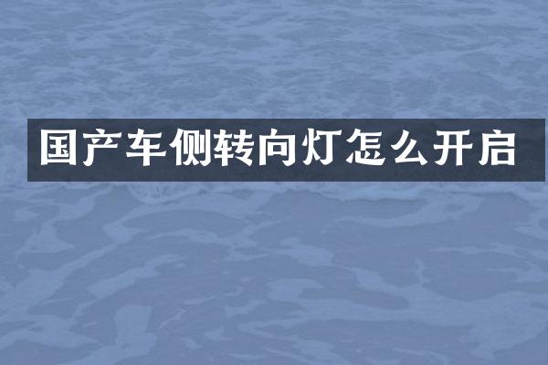 国产车侧转向灯怎么开启