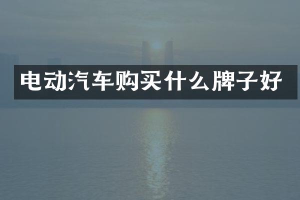 电动汽车购买什么牌子好