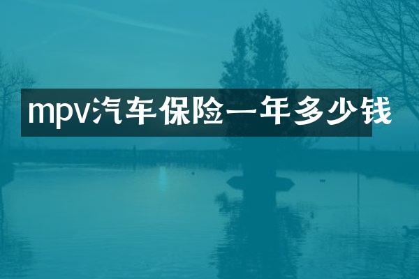 mpv汽车保险一年多少钱