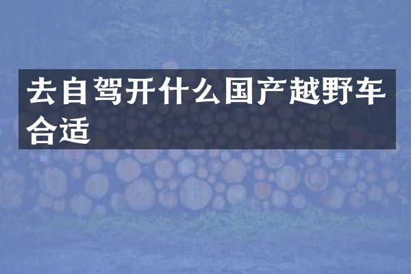 去自驾开什么国产越野车合适