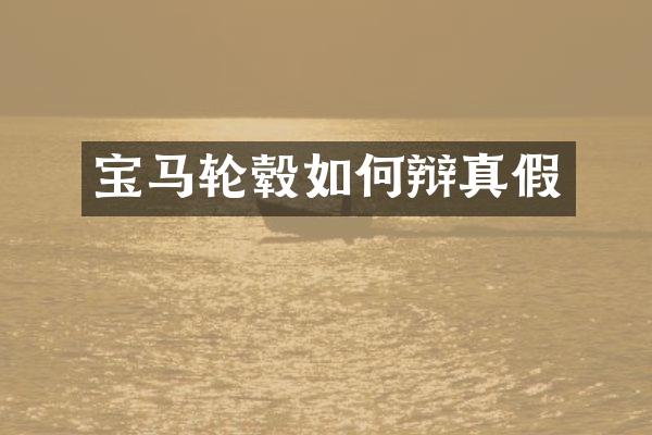 宝马轮毂如何辩真假