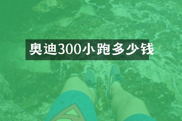 奥迪300小跑多少钱