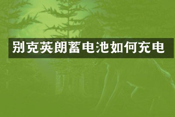别克英朗蓄电池如何充电