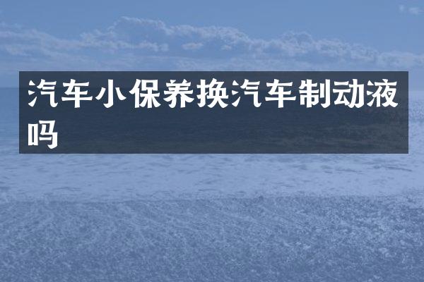 汽车小保养换汽车制动液吗