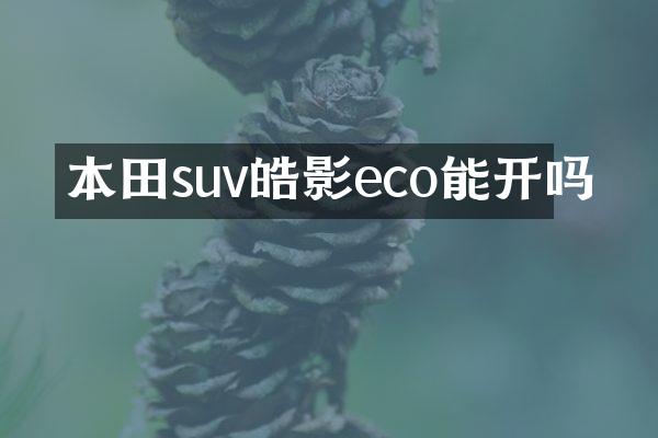 本田suv皓影eco能开吗