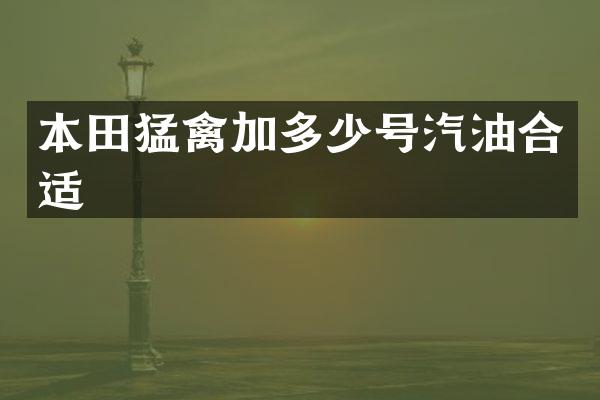 本田猛禽加多少号汽油合适