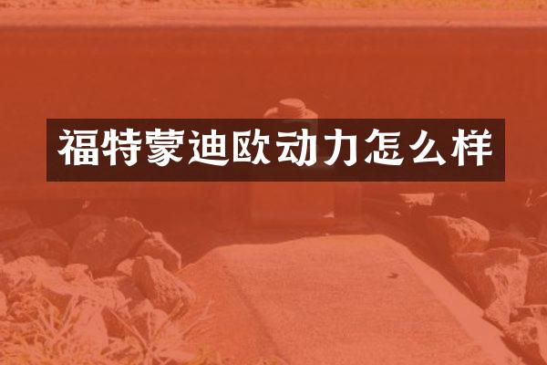 福特蒙迪欧动力怎么样