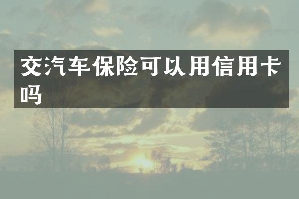 交汽车保险可以用信用卡吗