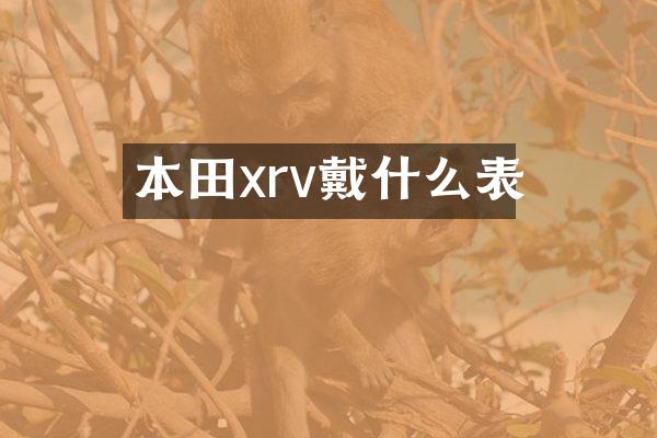 本田xrv戴什么表