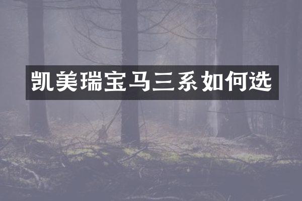 凯美瑞宝马三系如何选