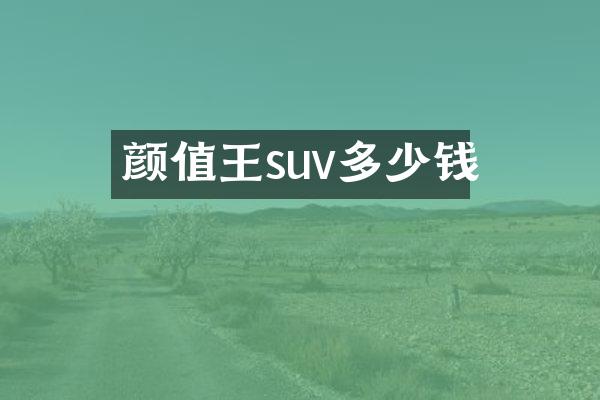 颜值王suv多少钱
