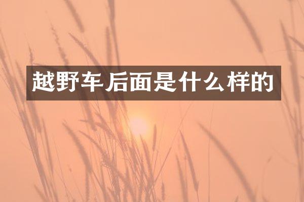 越野车后面是什么样的