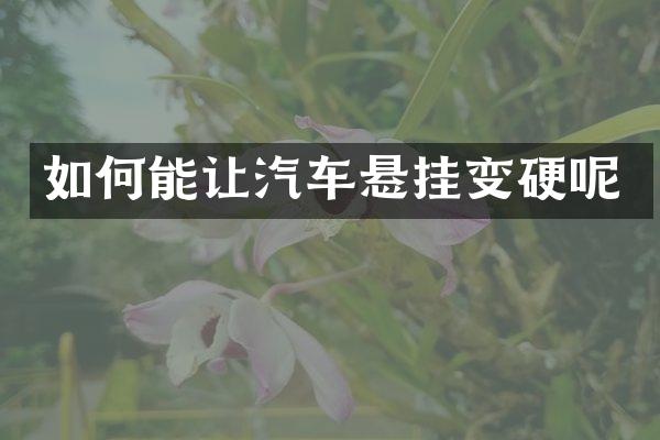 如何能让汽车悬挂变硬呢