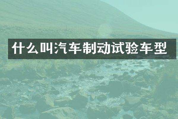什么叫汽车制动试验车型