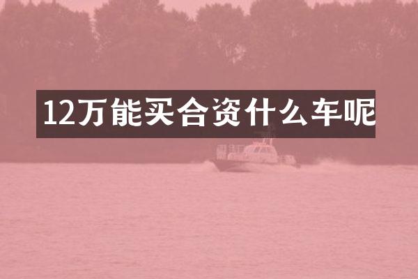 12万能买合资什么车呢