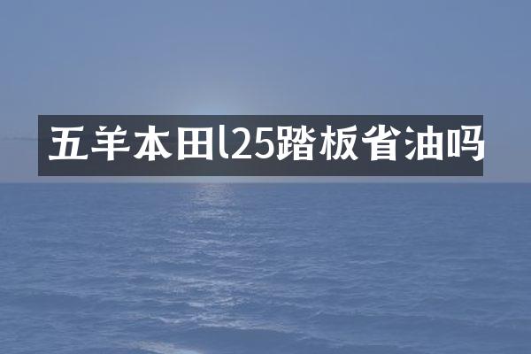 五羊本田l25踏板省油吗