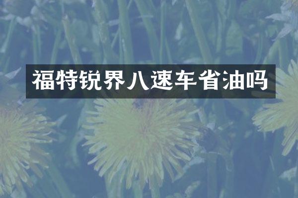 福特锐界八速车省油吗