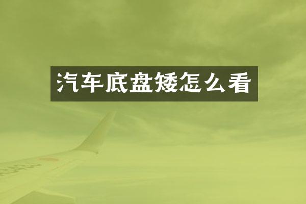 汽车底盘矮怎么看