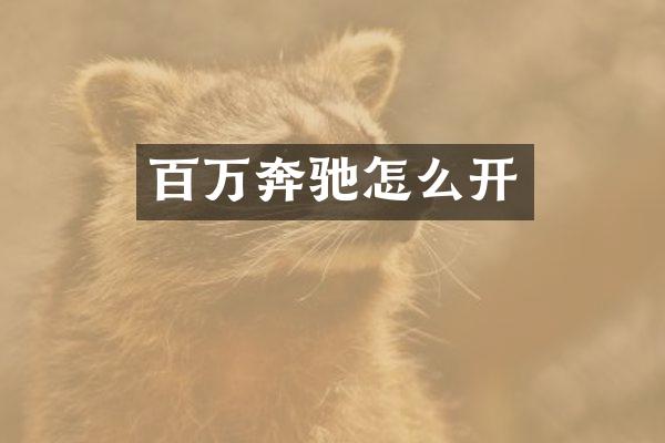百万奔驰怎么开
