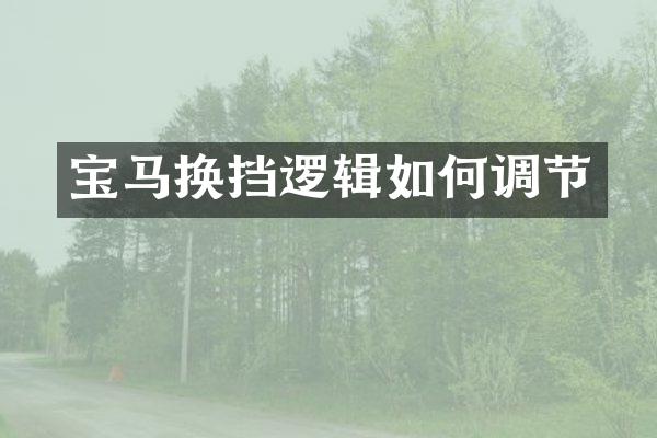 宝马换挡逻辑如何调节