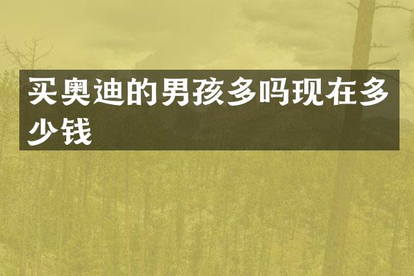买奥迪的男孩多吗现在多少钱