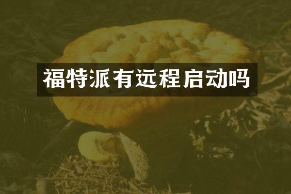 福特派有远程启动吗
