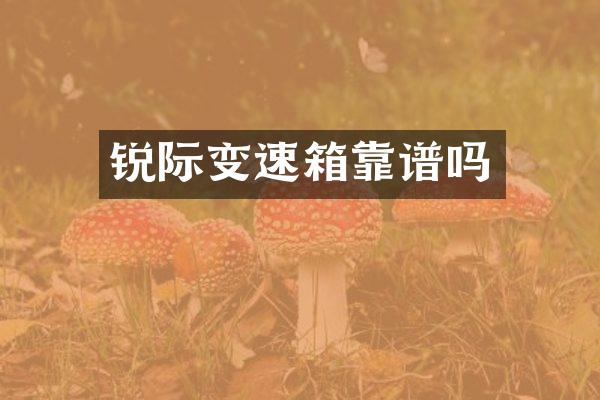 锐际变速箱靠谱吗