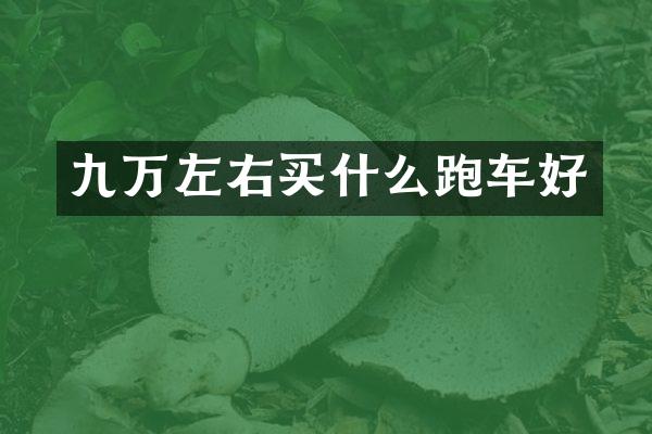 九万左右买什么跑车好