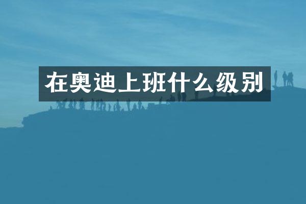 在奥迪上班什么级别