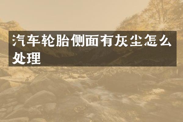 汽车轮胎侧面有灰尘怎么处理