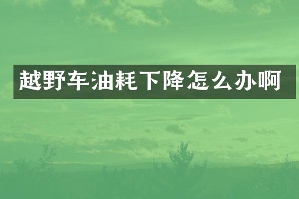 越野车油耗下降怎么办啊