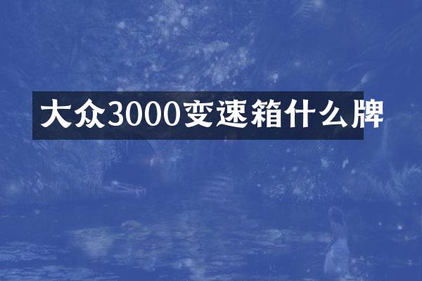 大众3000变速箱什么牌