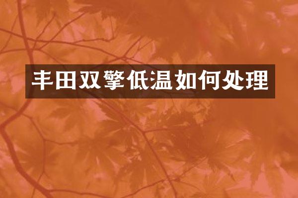 丰田双擎低温如何处理
