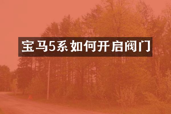 宝马5系如何开启阀门