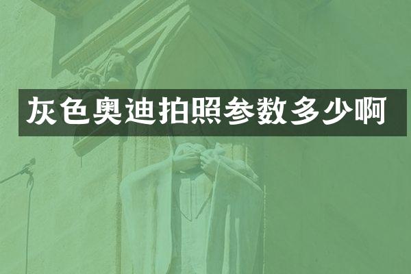 灰色奥迪拍照参数多少啊