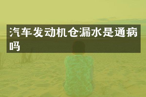 汽车发动机仓漏水是通病吗