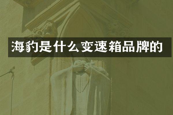 海豹是什么变速箱品牌的