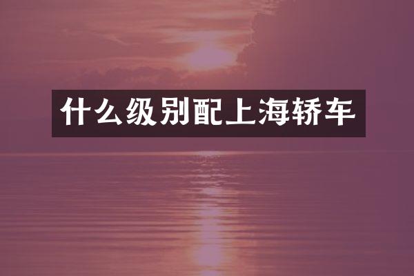 什么级别配上海轿车