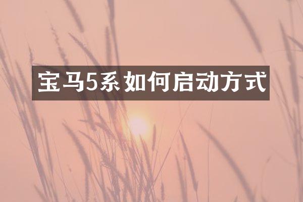 宝马5系如何启动方式