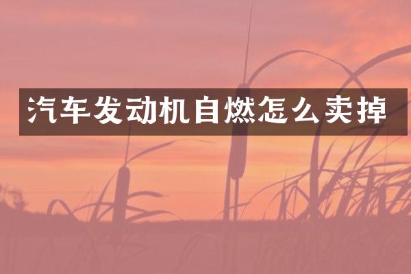 汽车发动机自燃怎么卖掉