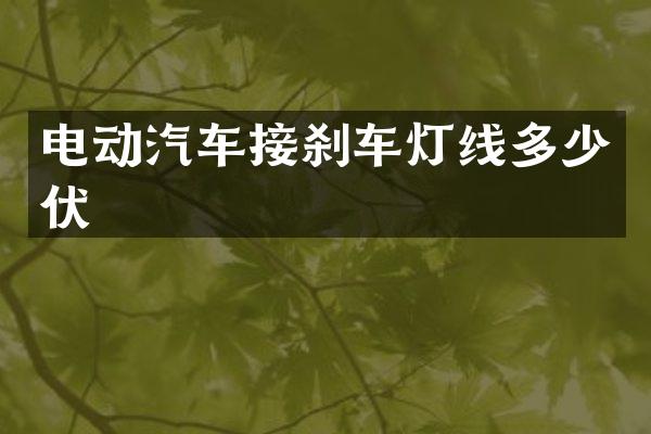 电动汽车接刹车灯线多少伏