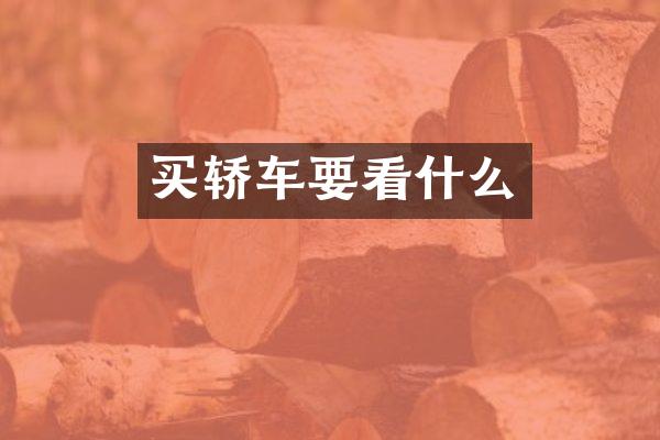 买轿车要看什么