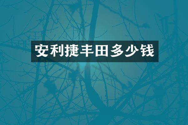 安利捷丰田多少钱
