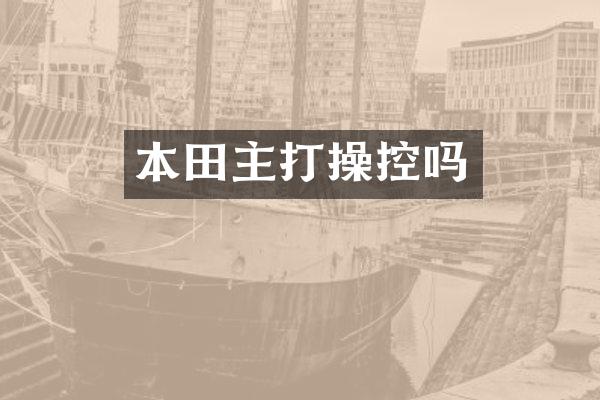 本田主打操控吗