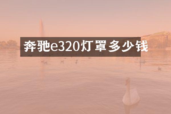 奔驰e320灯罩多少钱