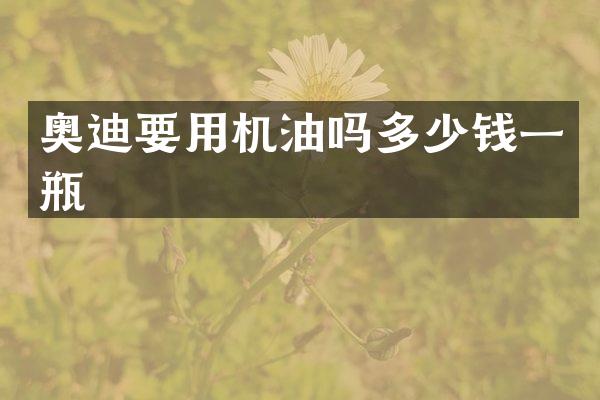 奥迪要用机油吗多少钱一瓶