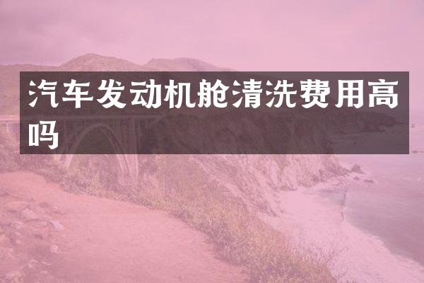 汽车发动机舱清洗费用高吗